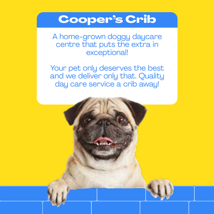 LinkedIn Marketing Campaign